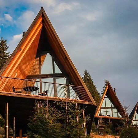 Уліс Ворохта Villa Krivopol'ye Екстериор снимка